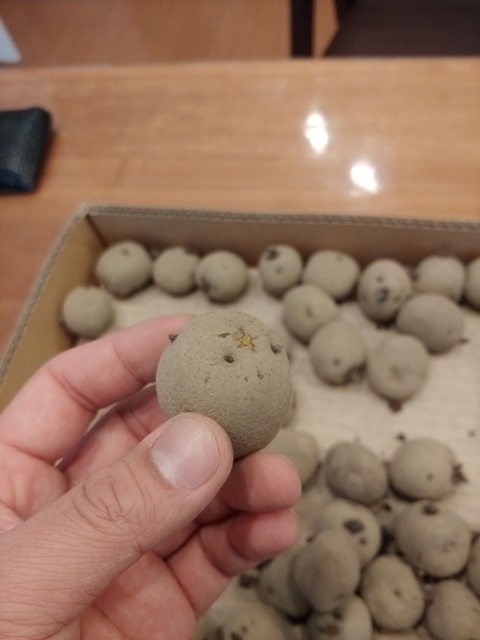 f:id:hyakusyoumiman:20190315164706j:plain