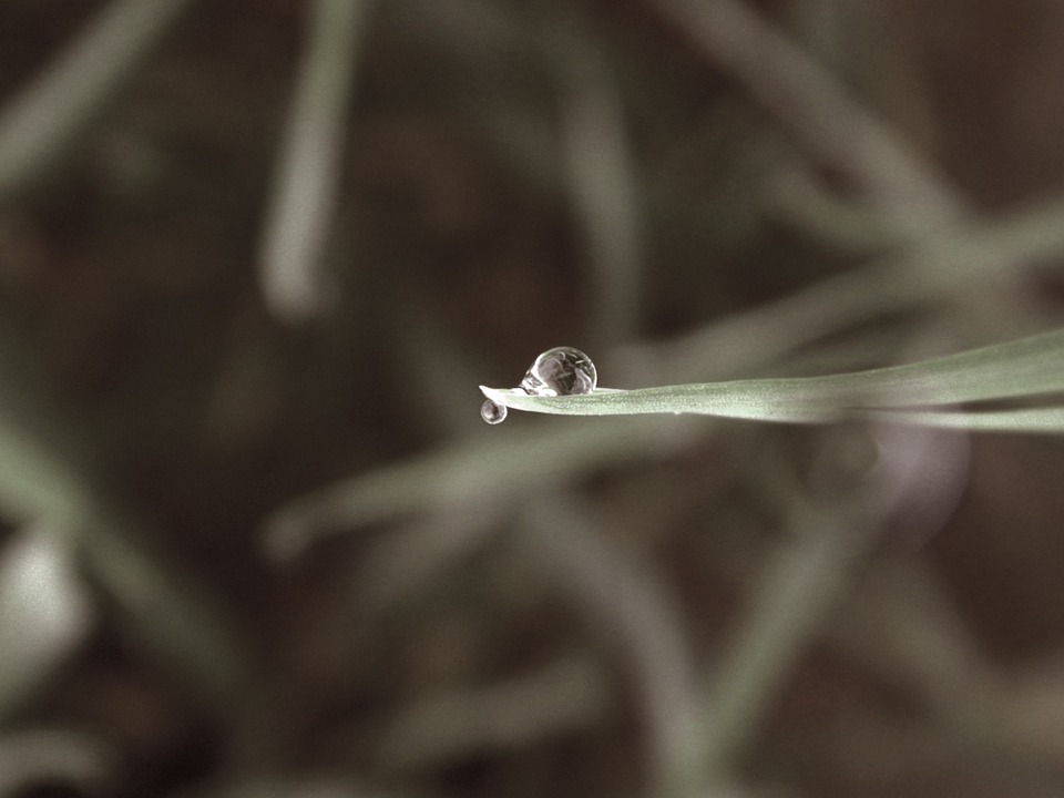 f:id:hyakuton100t:20160910180721j:plain