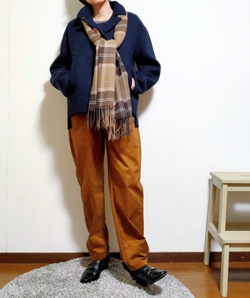 f:id:hyakuyou:20220123172701j:plain