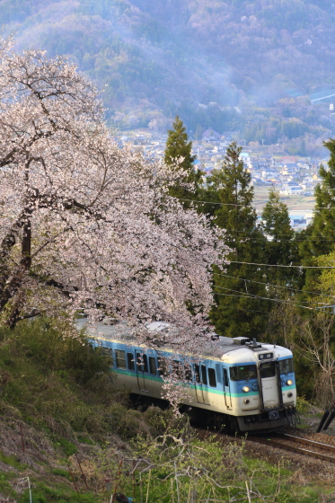 イメージ 5