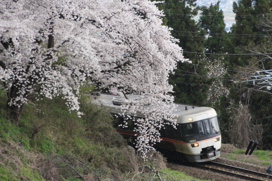 イメージ 4