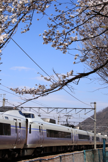 イメージ 8