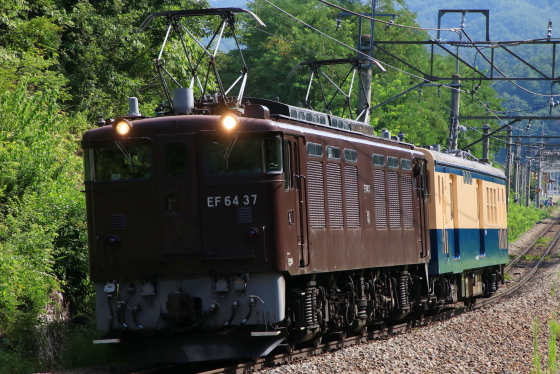 イメージ 6