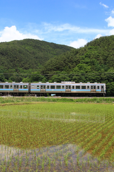 イメージ 2