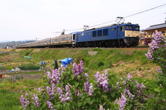 イメージ 6