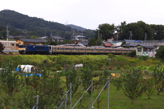イメージ 7