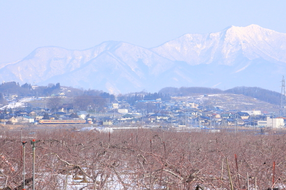 イメージ 2