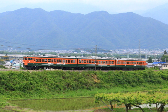 イメージ 8