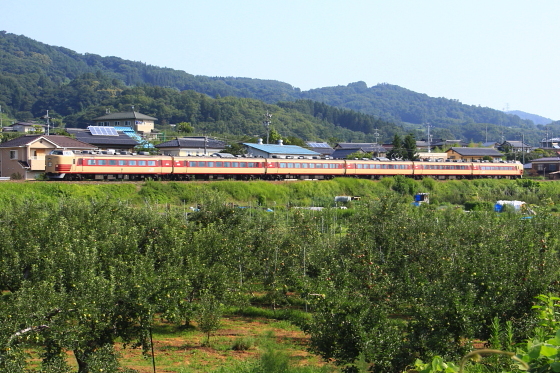イメージ 5