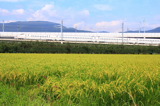 イメージ 6