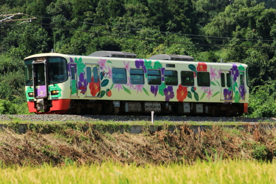 イメージ 3