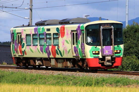 イメージ 7