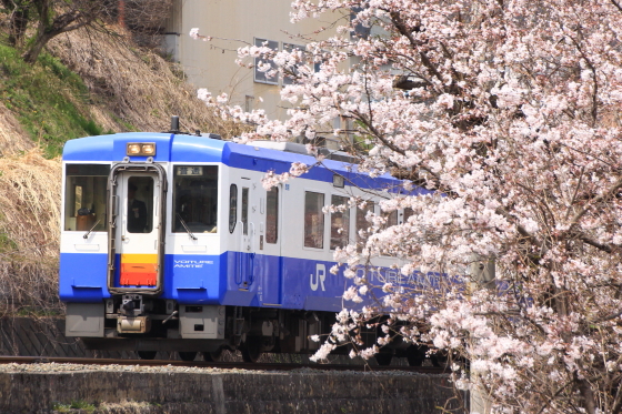 イメージ 8