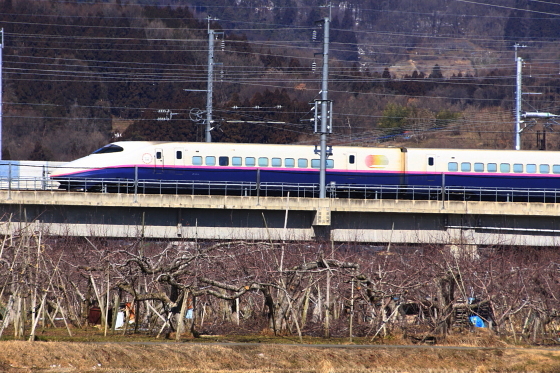 イメージ 3