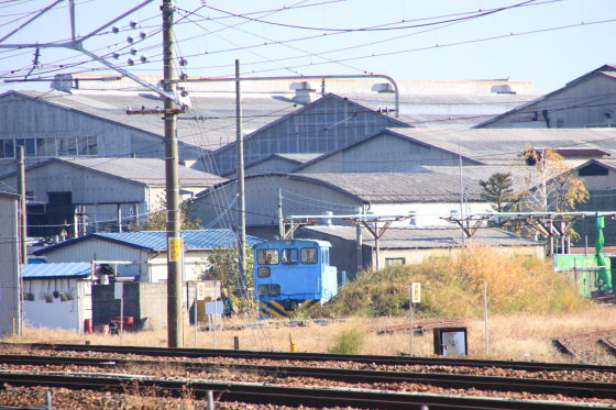イメージ 5