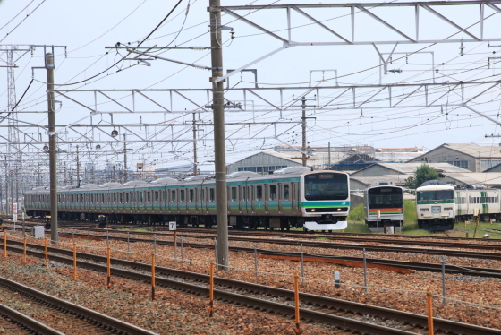 イメージ 7