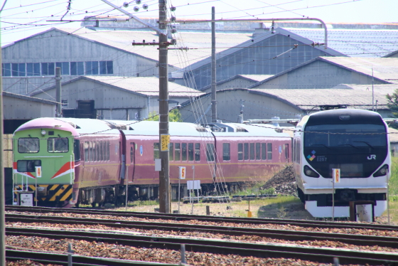 イメージ 7