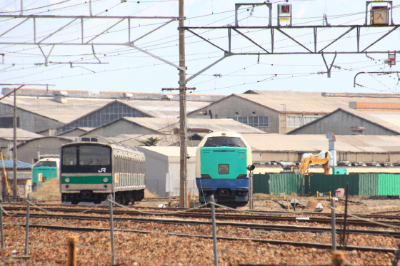 イメージ 13