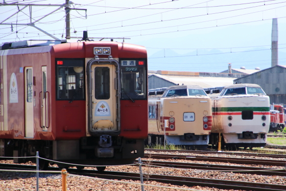 イメージ 7