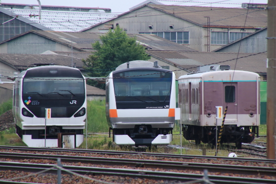 イメージ 3