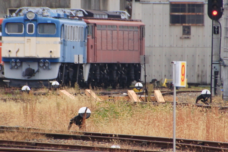 イメージ 11