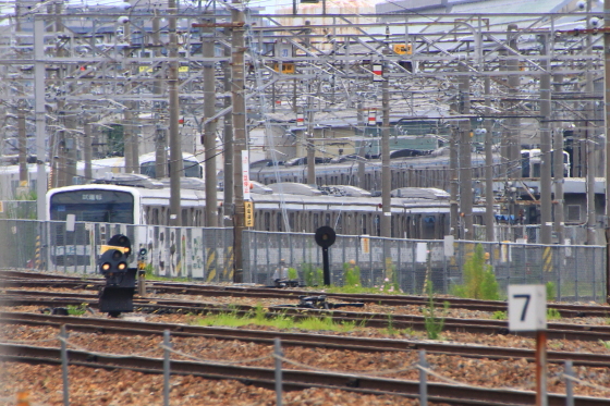 イメージ 5