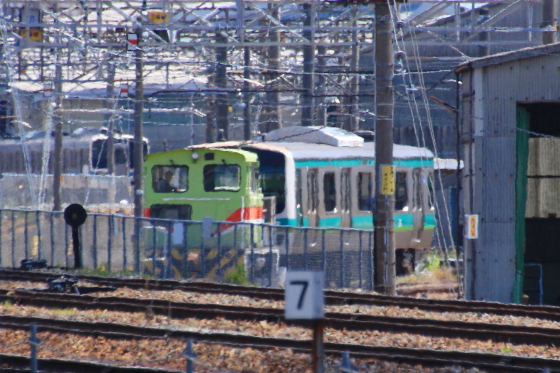 イメージ 5