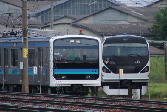 イメージ 9