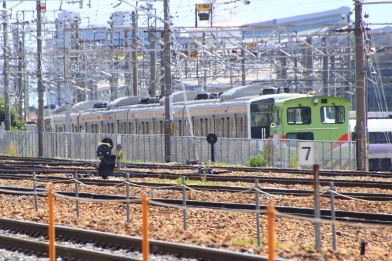 イメージ 6