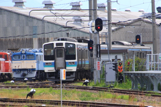 イメージ 6