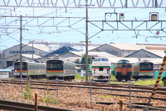 イメージ 16