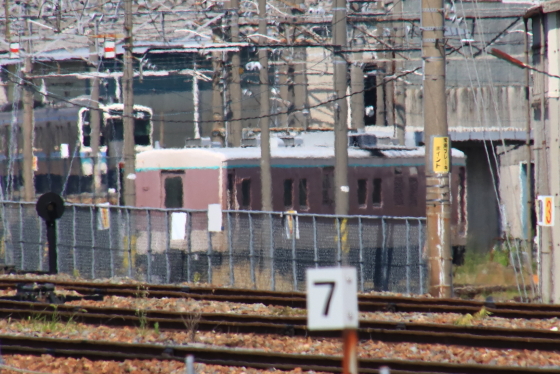イメージ 13