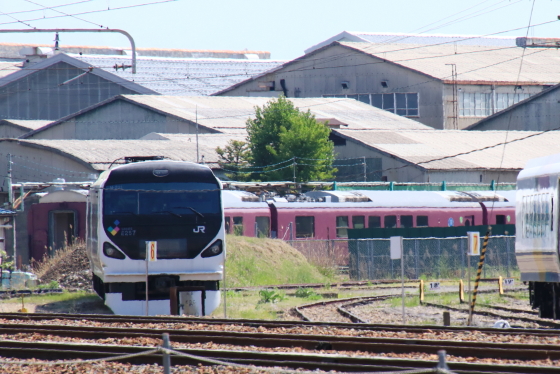 イメージ 8