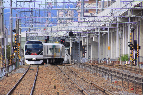 イメージ 3