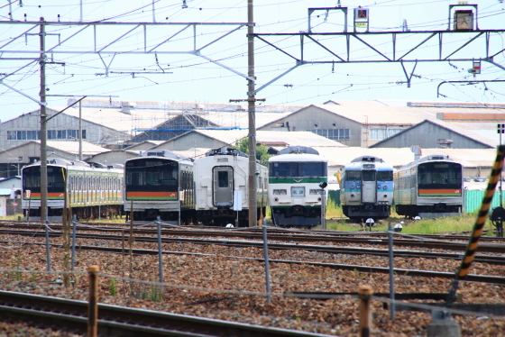 イメージ 7