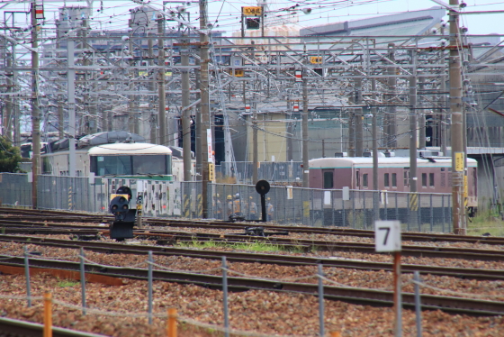 イメージ 9