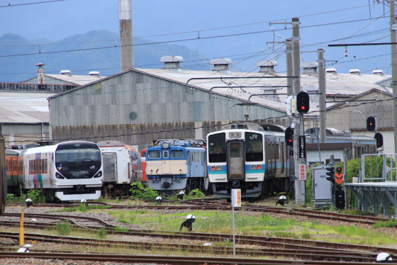 イメージ 7