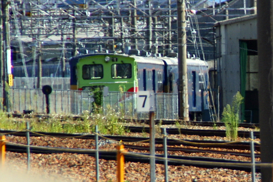 イメージ 7