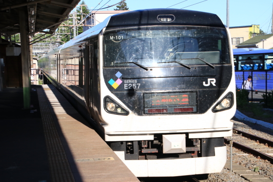 イメージ 17