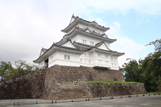 イメージ 3