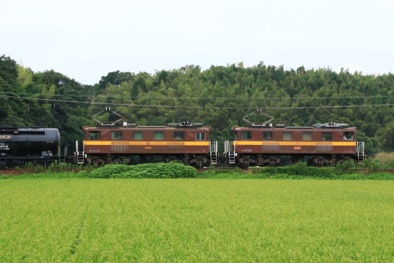 イメージ 6