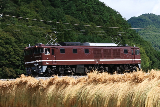 f:id:hyama5071:20190924194049j:plain