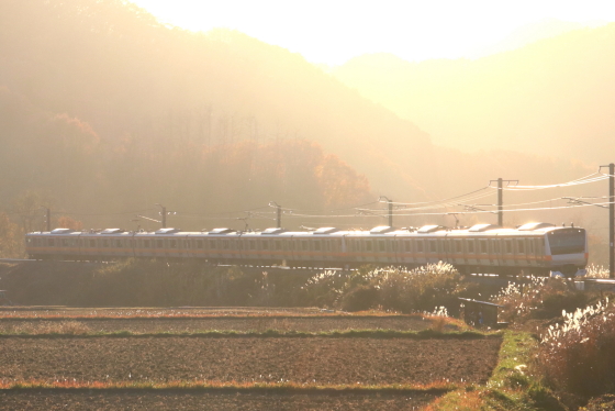 f:id:hyama5071:20191119201118j:plain