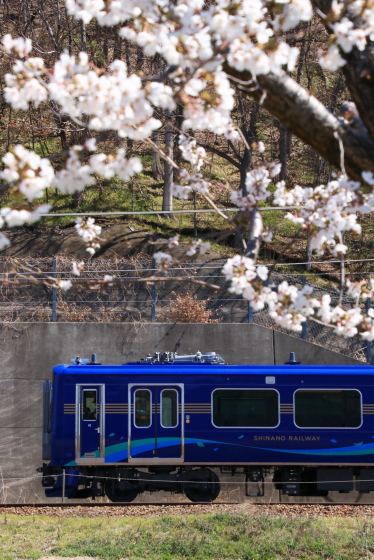 f:id:hyama5071:20200407201546j:plain