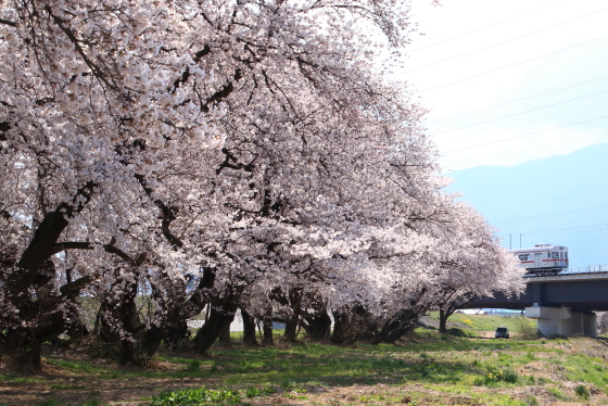 f:id:hyama5071:20200412195948j:plain
