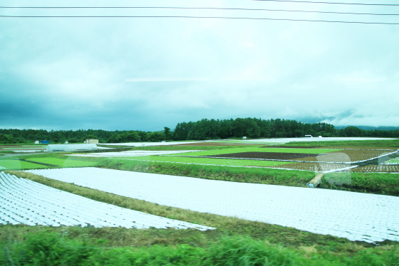 f:id:hyama5071:20200704214512j:plain