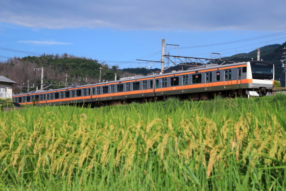 f:id:hyama5071:20200827203825j:plain f:id:hyama5071:20200827203825j:plain