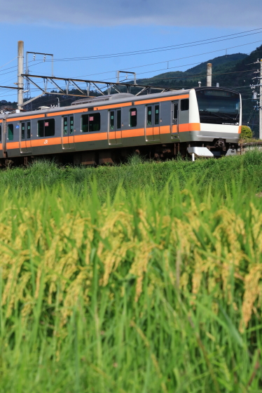 f:id:hyama5071:20200827203841j:plain f:id:hyama5071:20200827203841j:plain