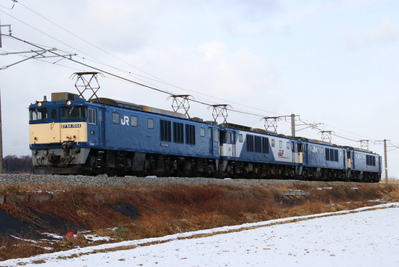 f:id:hyama5071:20210103203842j:plain