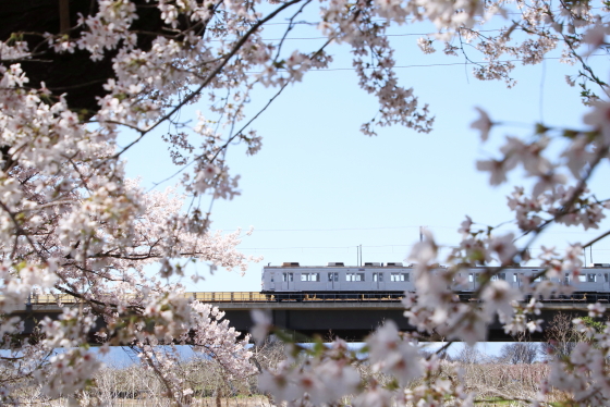 f:id:hyama5071:20210407204032j:plain